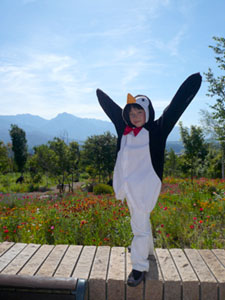 ^||ƌZy